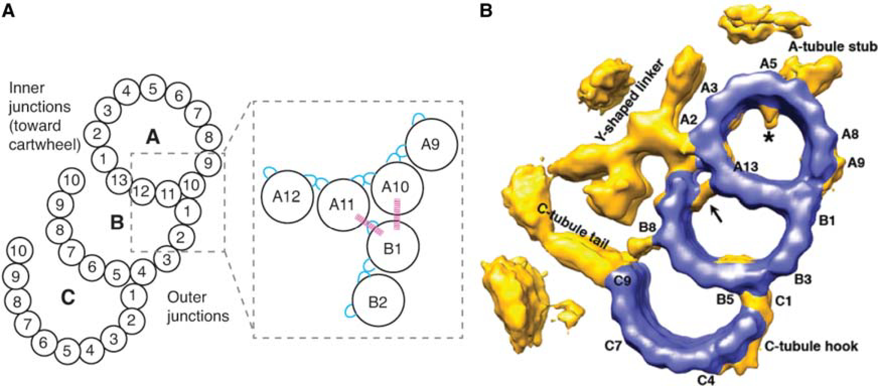 Figure 2.