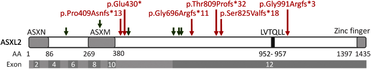 Figure 2