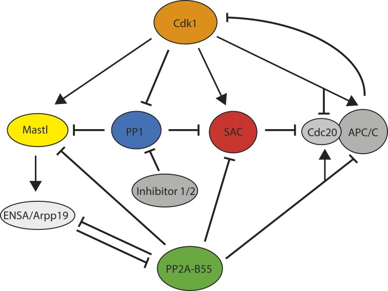 Figure 3.