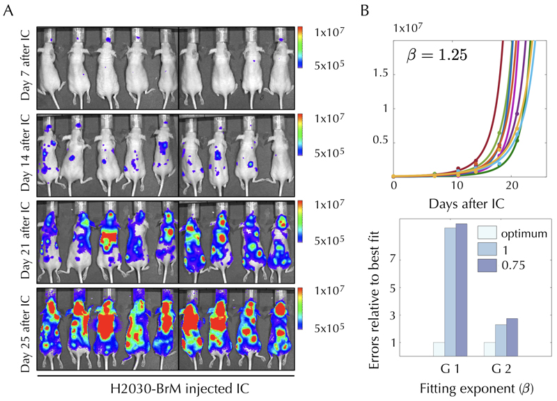 Extended Data Fig. 1