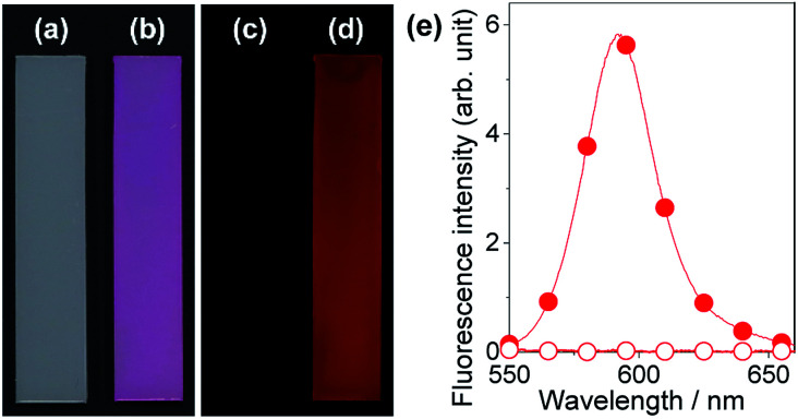 Fig. 12