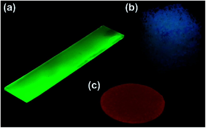 Fig. 13