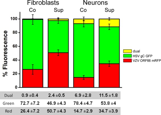 FIG 6