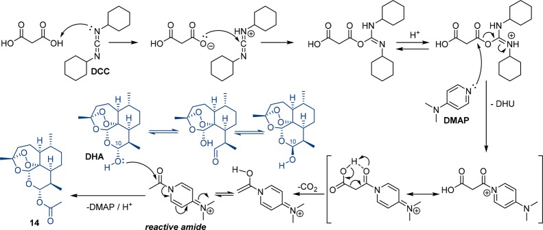 Scheme 2