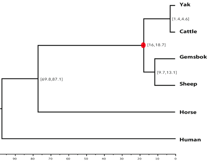 Figure 5: