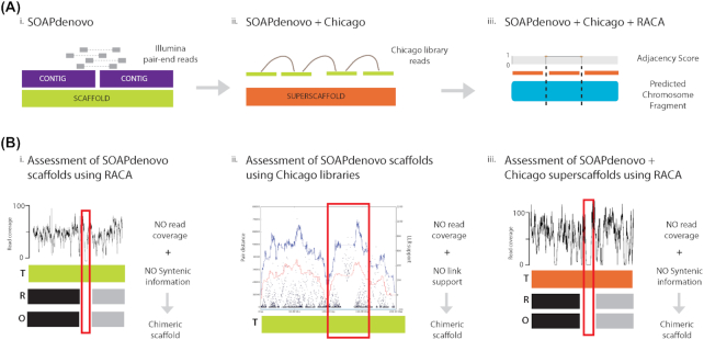 Figure 2: