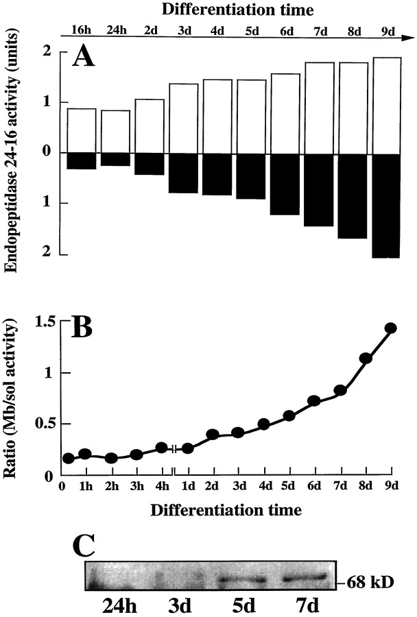 Fig. 5.