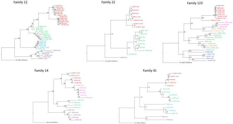 Figure 3—figure supplement 2.