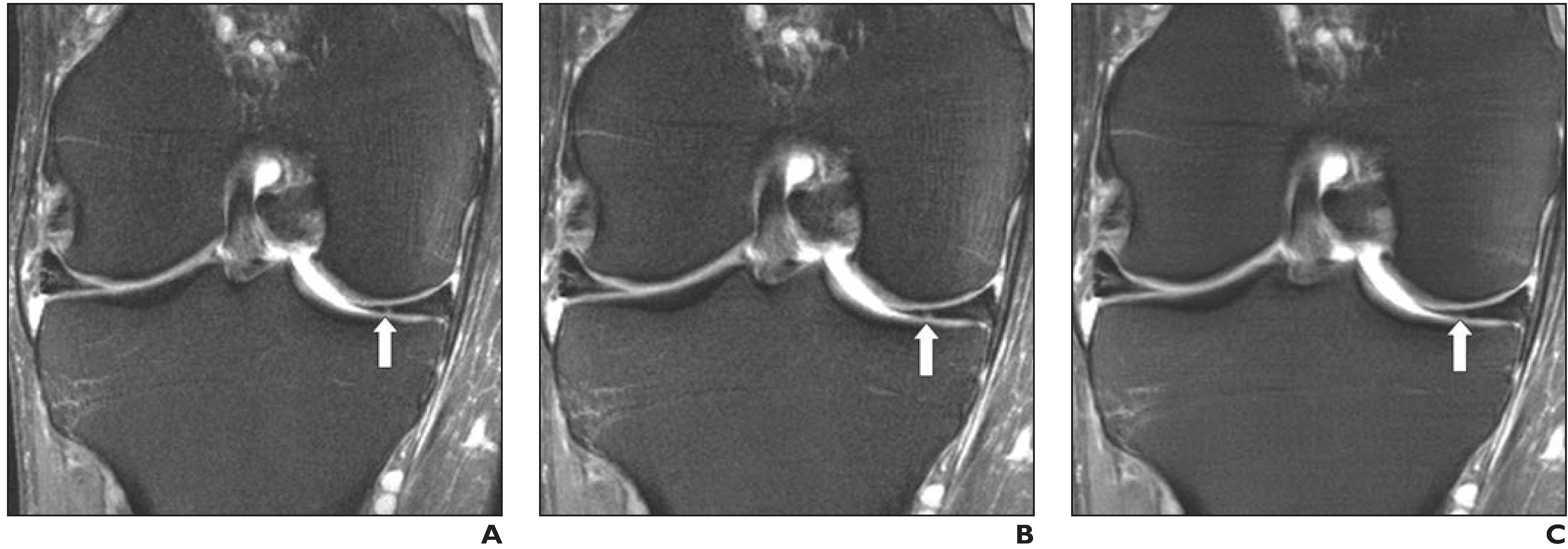 Fig. 6—