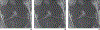 Fig. 2—