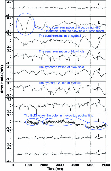 Fig. 3