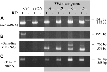 Figure 2.—