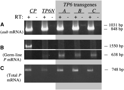 Figure 3.—