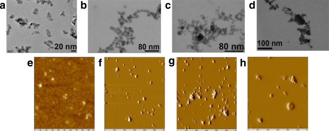 FIG. 1.