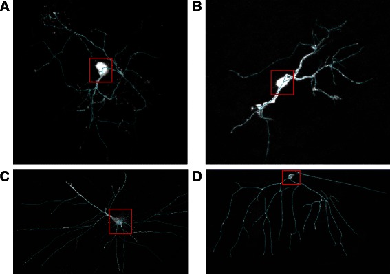 Fig. 16