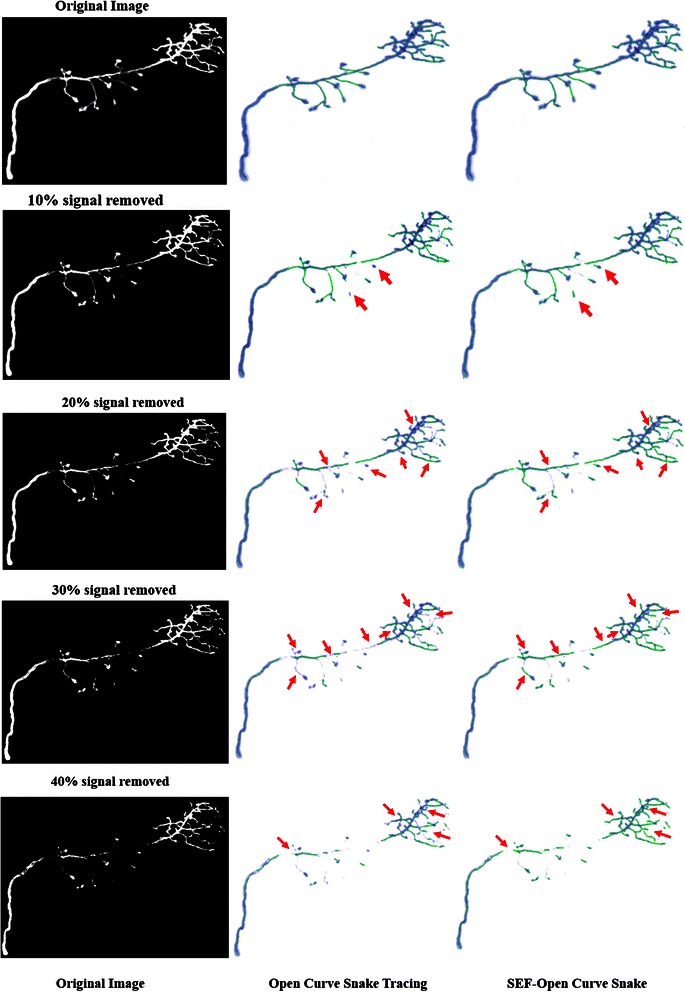 Fig. 13