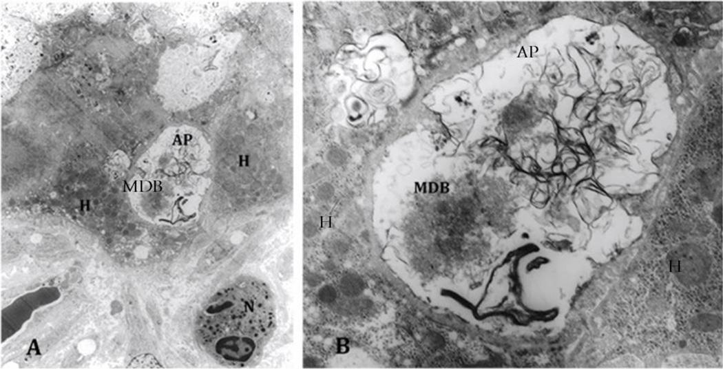 Fig. 11