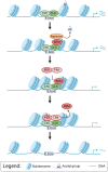 Fig 5