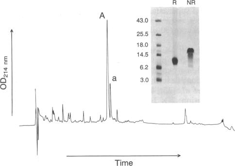 graphic file with name pnas00287-0400-a.jpg