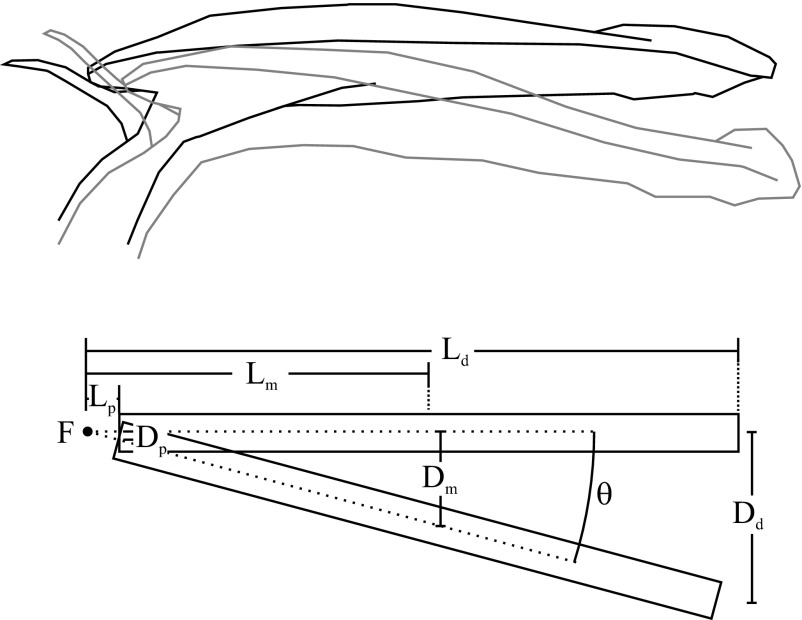 Fig. S1.