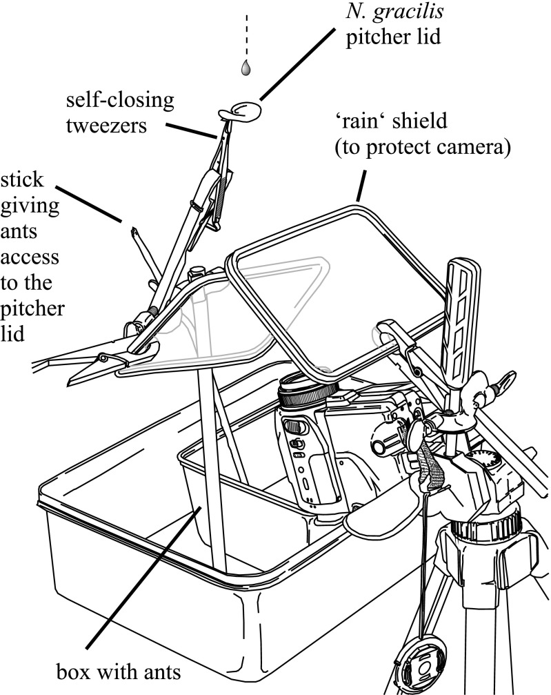 Fig. S3.