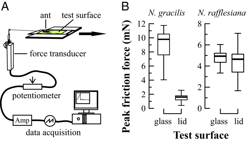 Fig. 4.