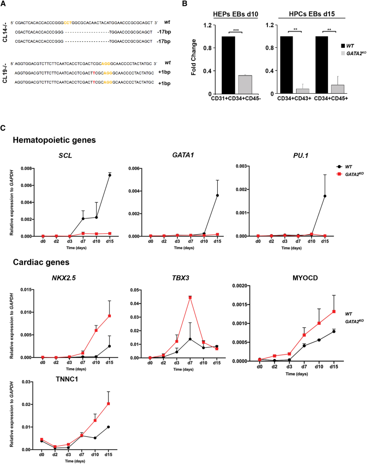 Figure 5