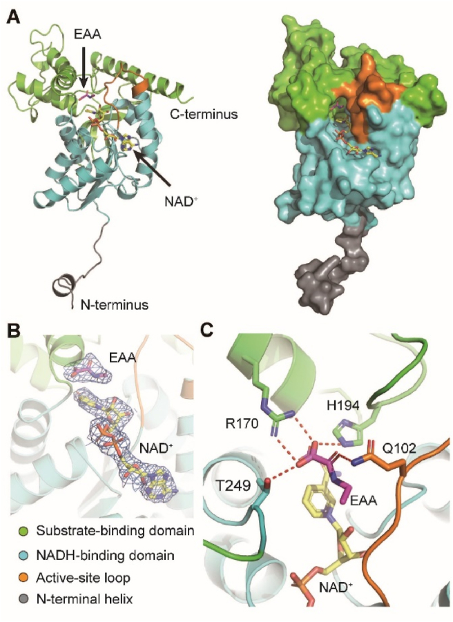 Figure 5