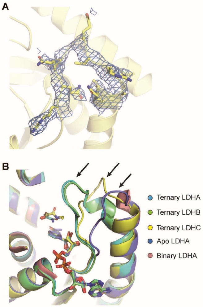 Figure 7