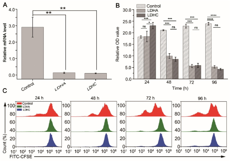 Figure 3