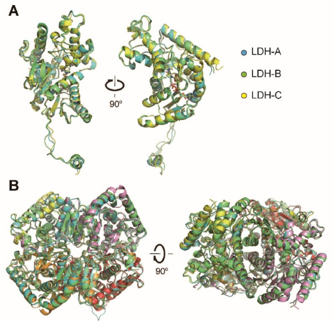 Figure 6