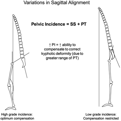 Fig. 7