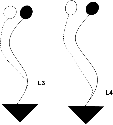 Fig. 10