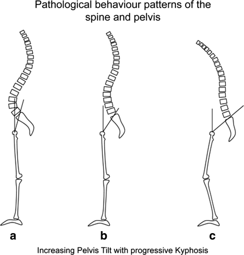 Fig. 5