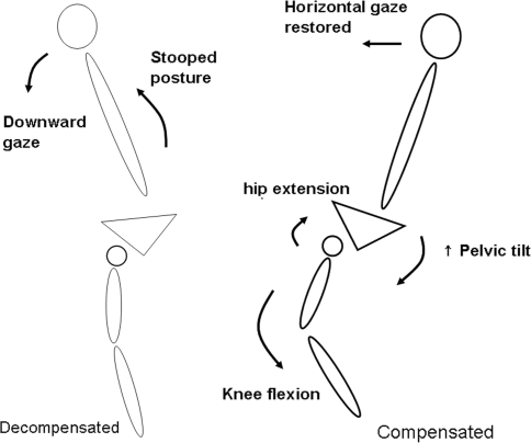 Fig. 6