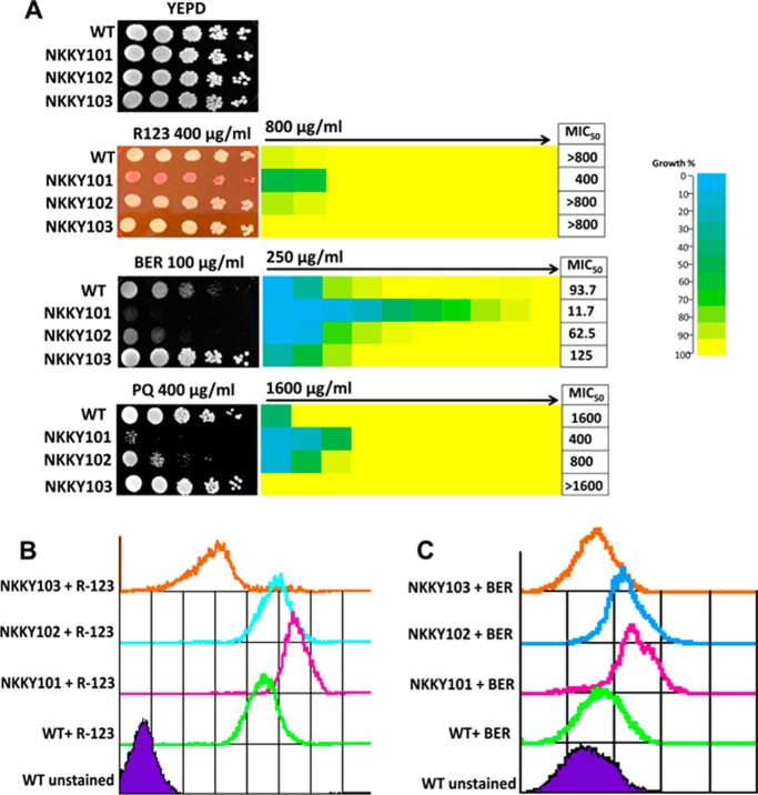 Figure 2.