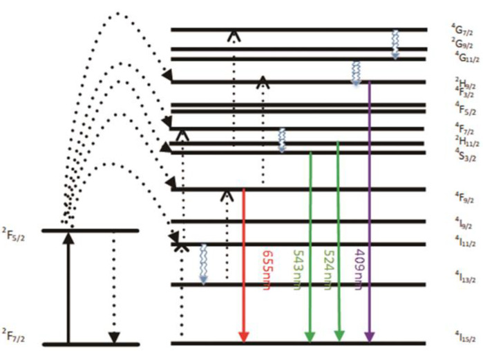 Figure 5