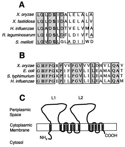 FIG. 2.