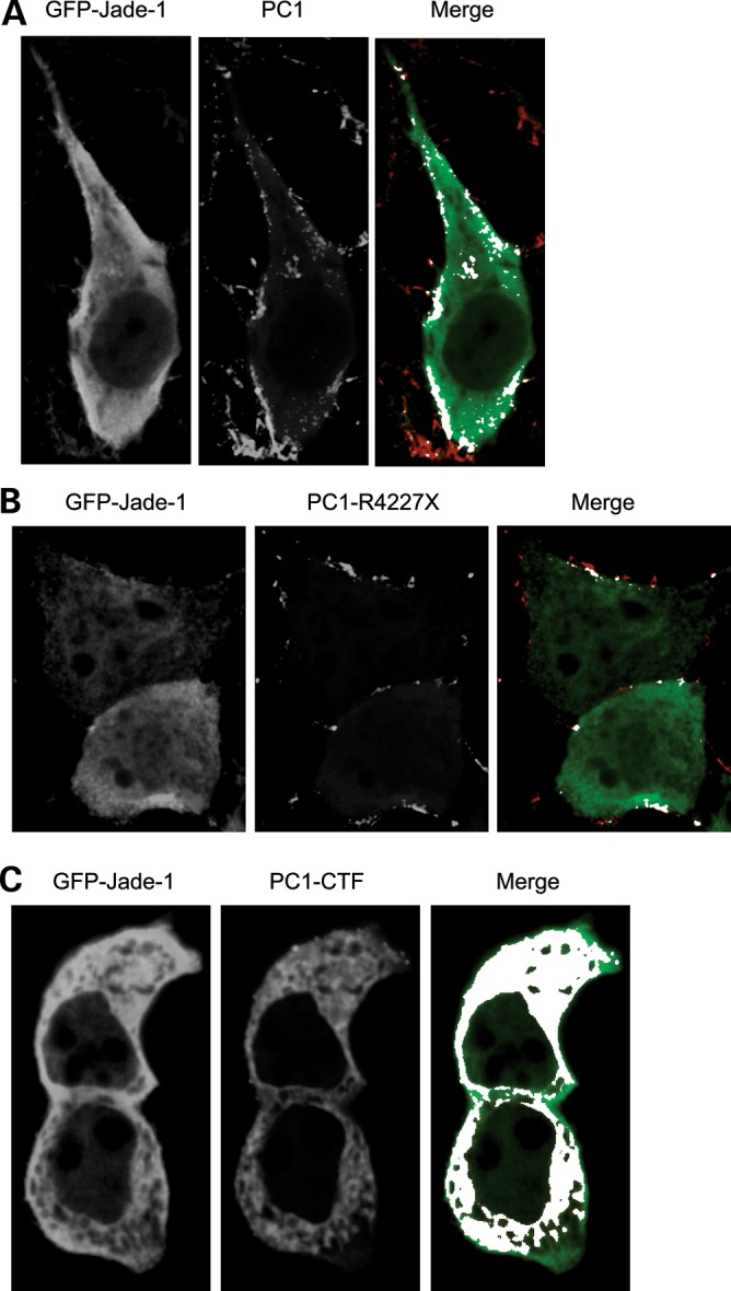 Figure 3.