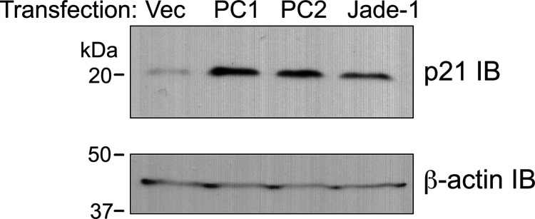 Figure 10.