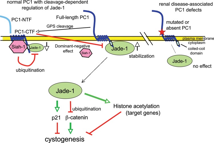 Figure 11.