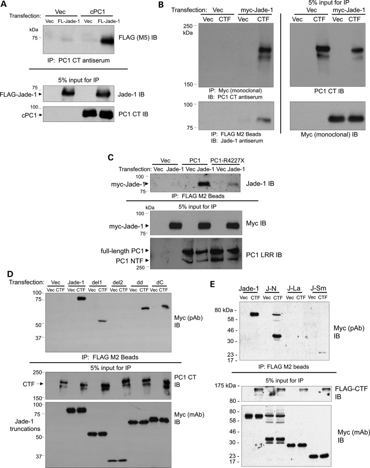 Figure 2.