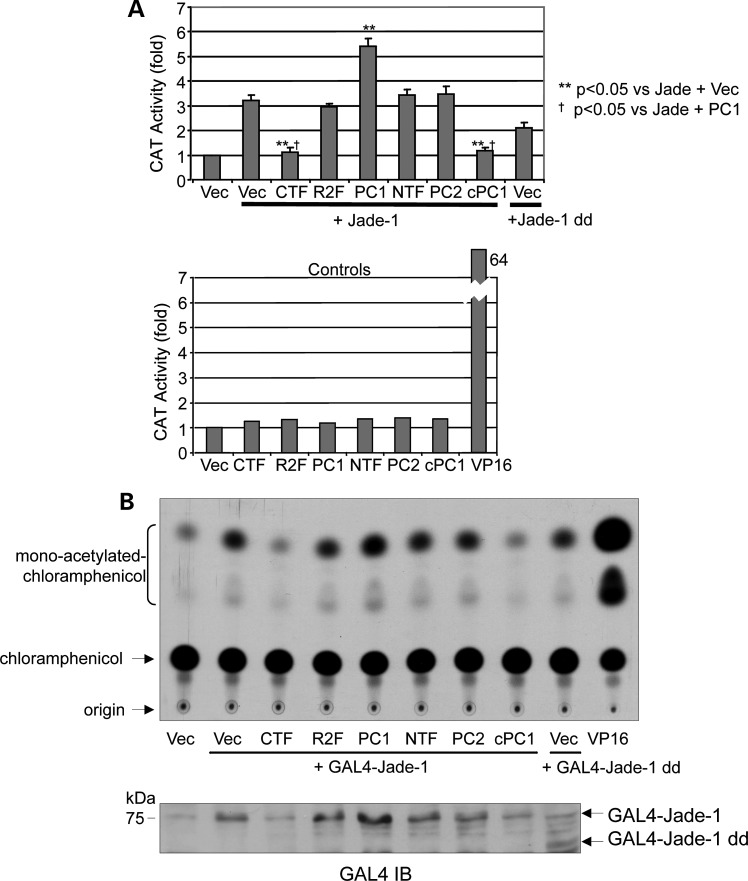 Figure 9.