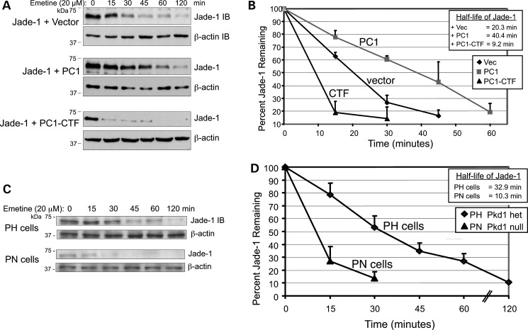 Figure 6.