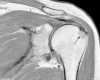 Fig. 5