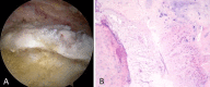 Fig. 6