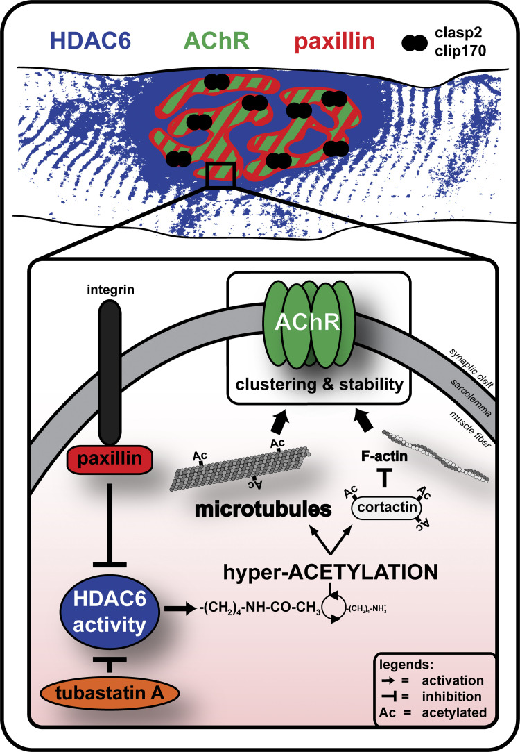 Figure 10.