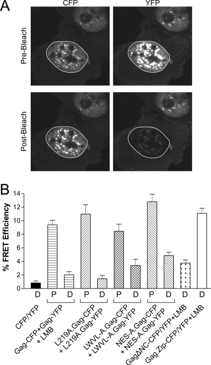 FIG. 6.