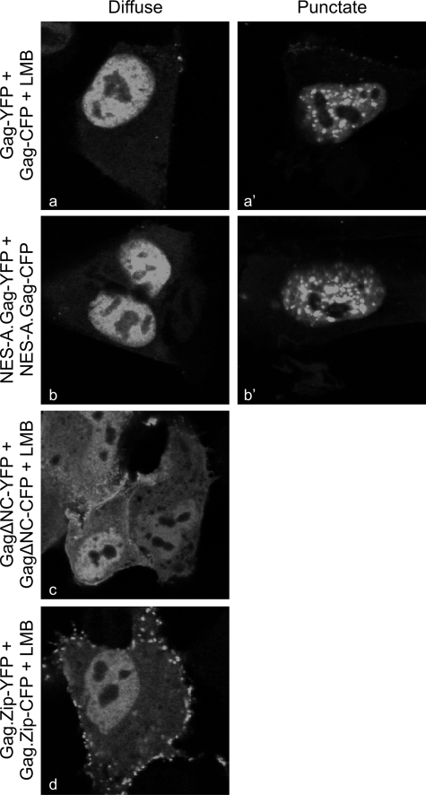 FIG. 5.