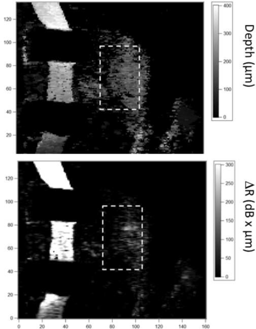 Fig. 7